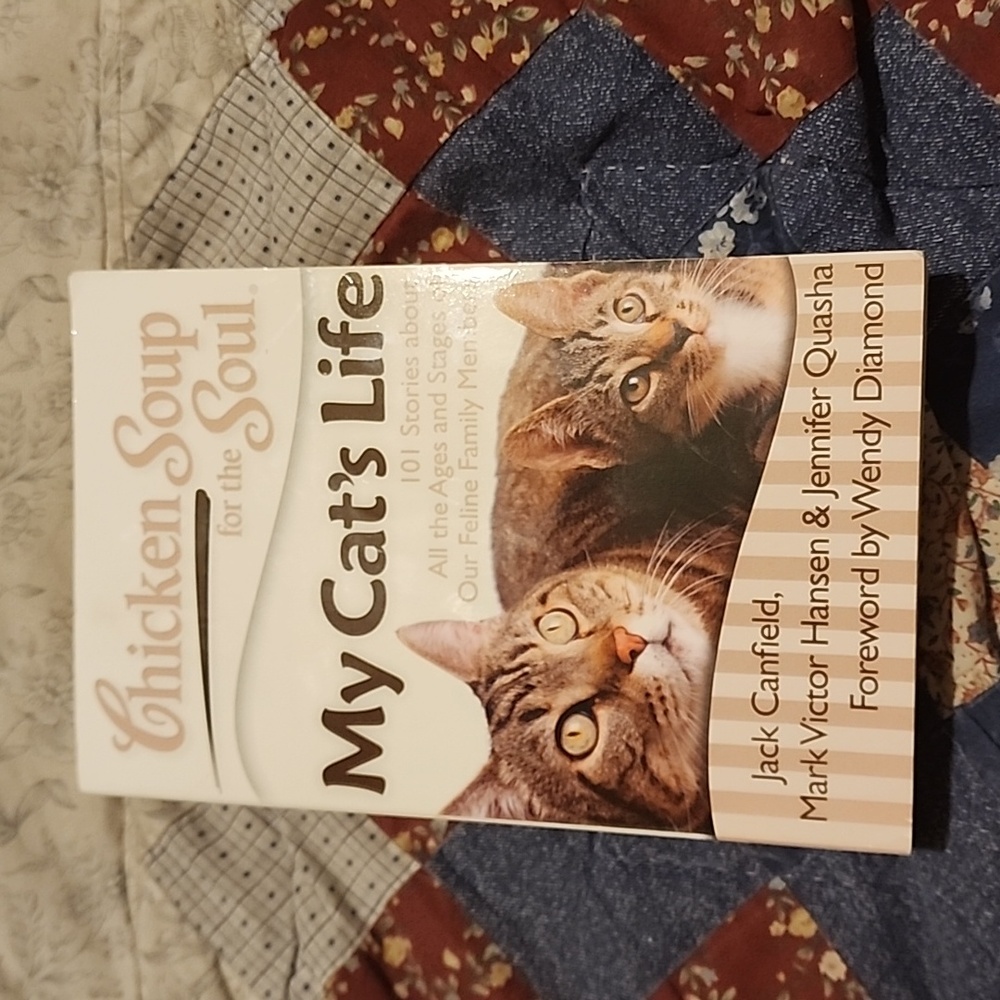 Chicken Soup for the Soul My Cat's Life Trade Paperback